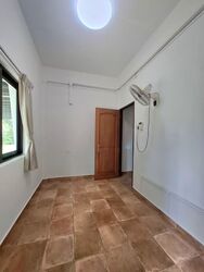 Mount Sinai (D10), Terrace #540256801